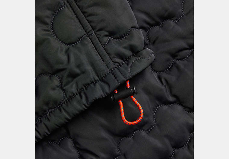 Coachtopia Loop Cloud Quilted Pants