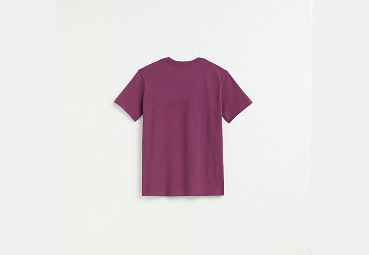 Restored Horse And Carriage T-Shirt