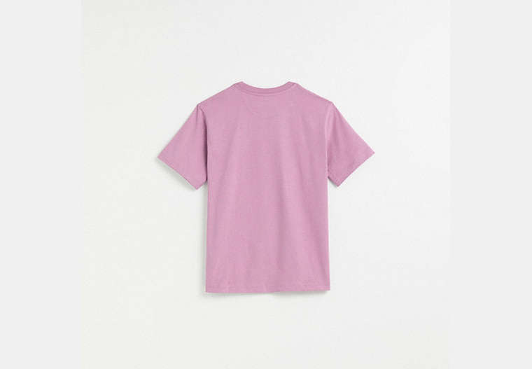 Restored Horse And Carriage T-Shirt