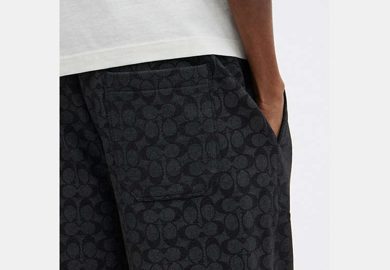 Essential Signature Joggers