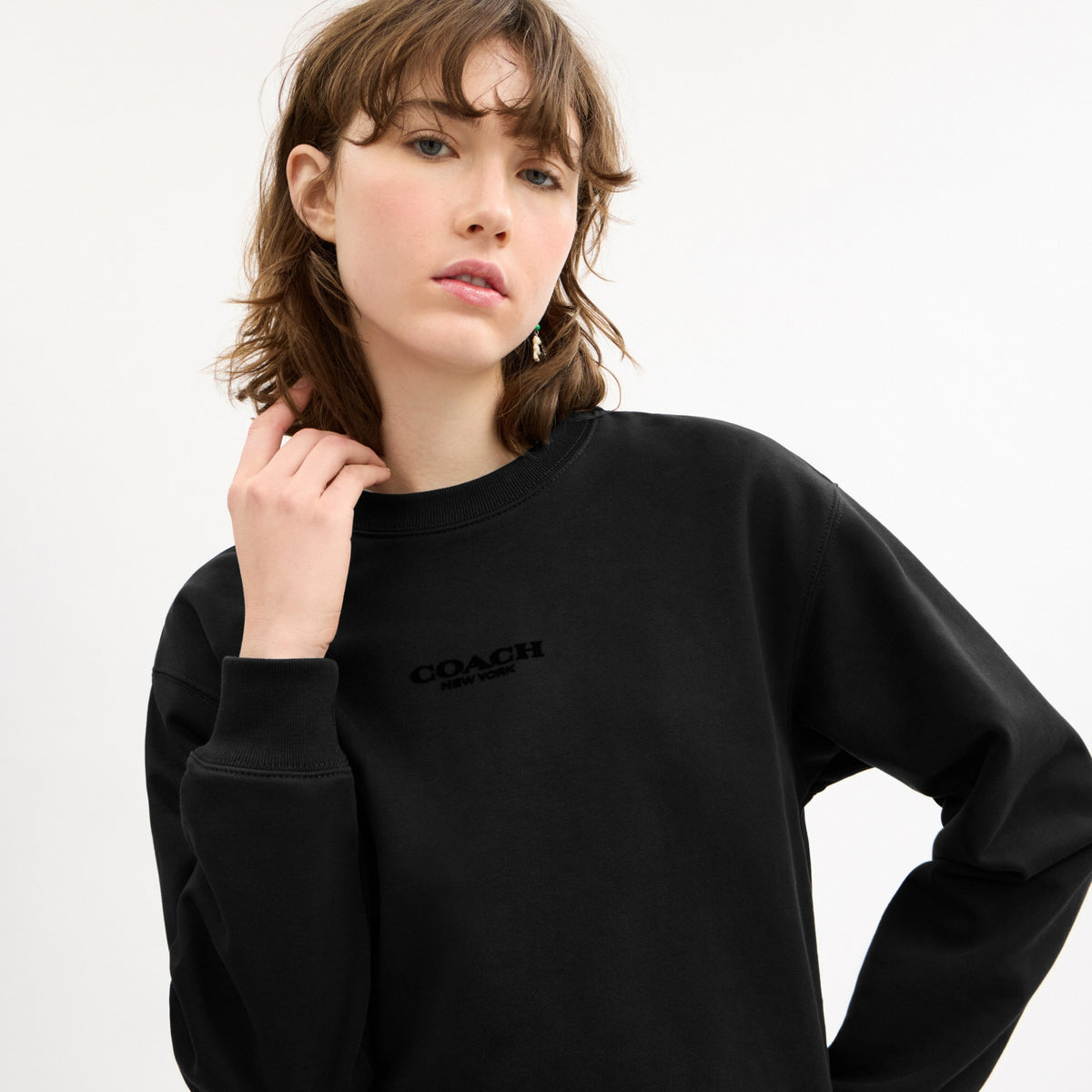 Coach Crewneck