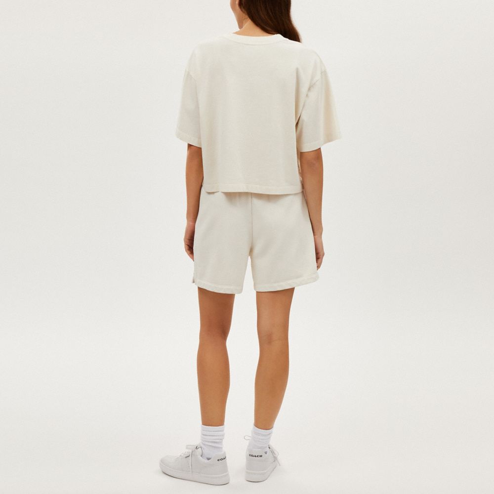 Garment Dye Cropped T Shirt