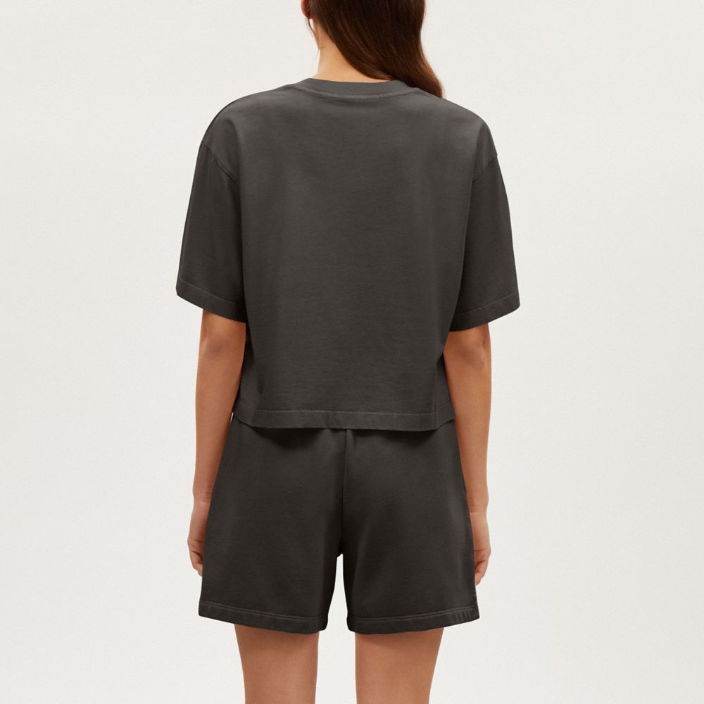 Garment Dye Cropped T Shirt