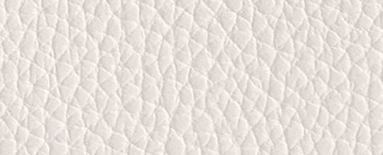 Essential Small Zip Around Card Case