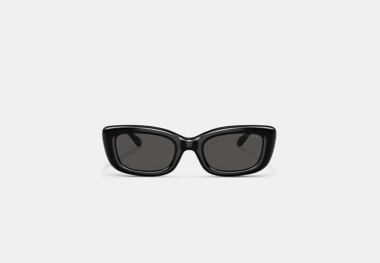 C Hardware Narrow Rectangle Sunglasses