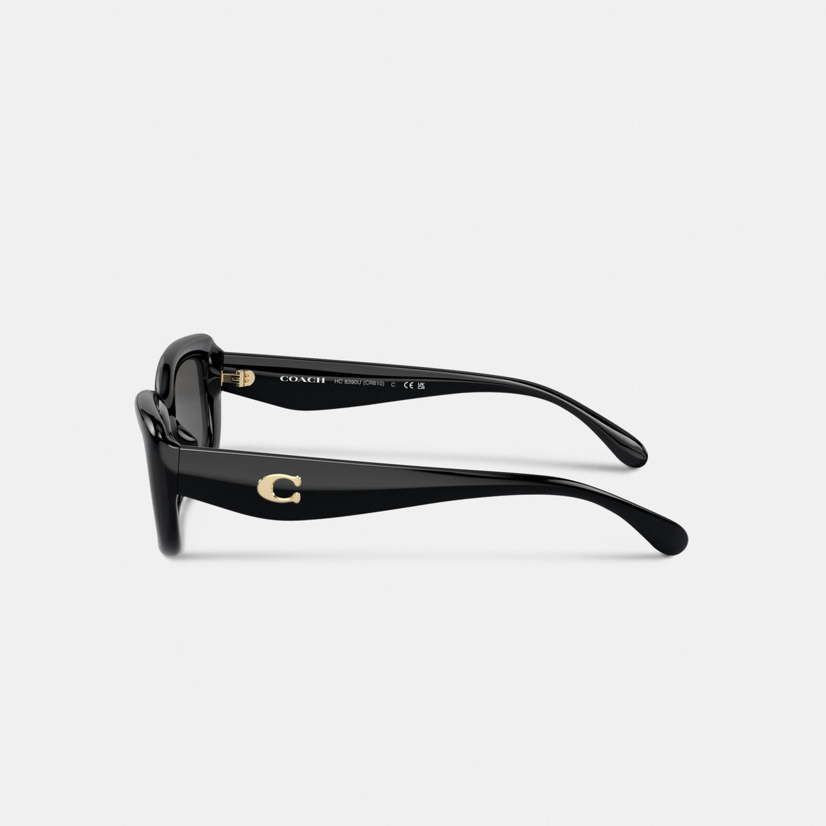 C Hardware Narrow Rectangle Sunglasses