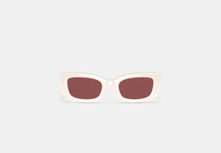 C Hardware Narrow Rectangle Sunglasses