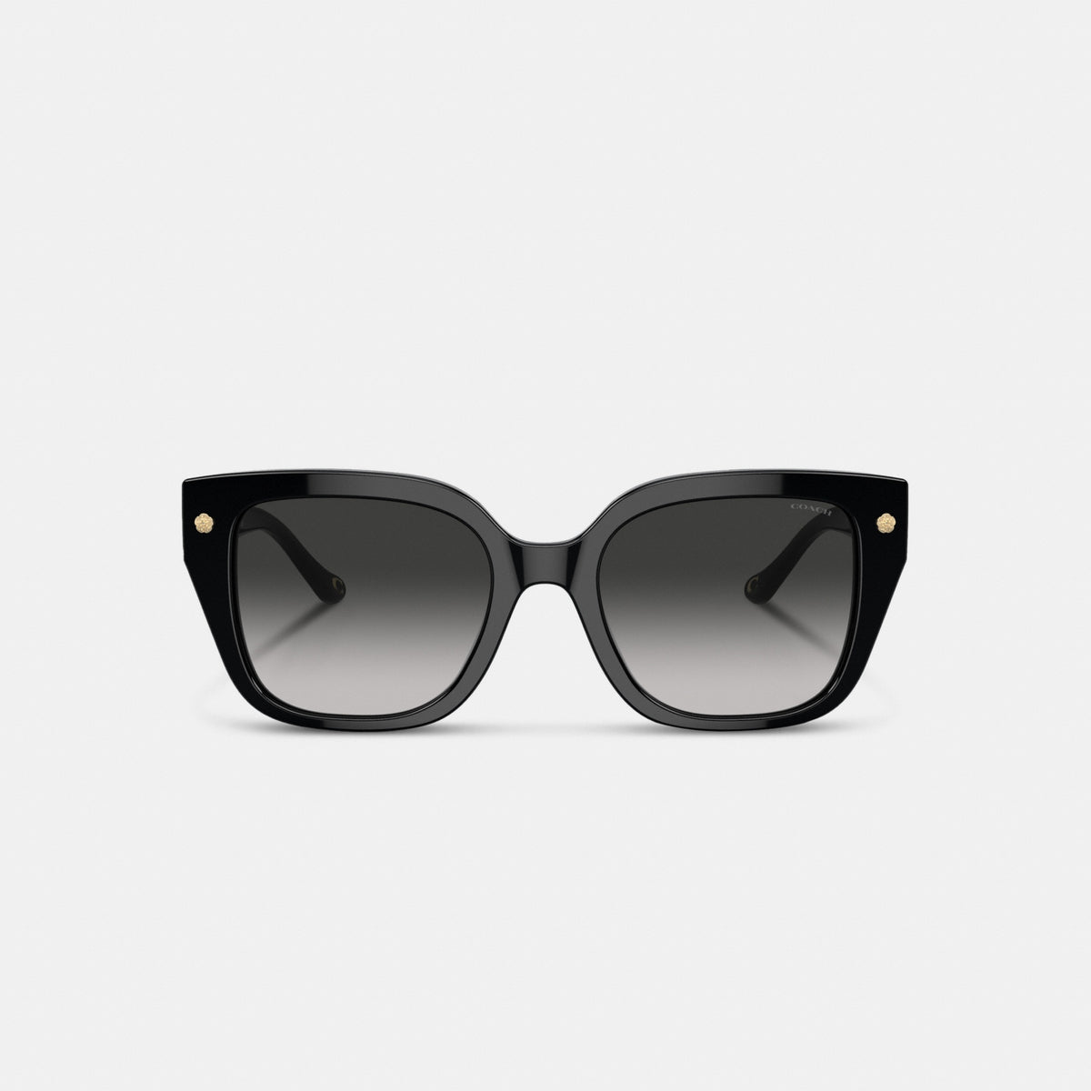 Charms Oversized Square Sunglasses