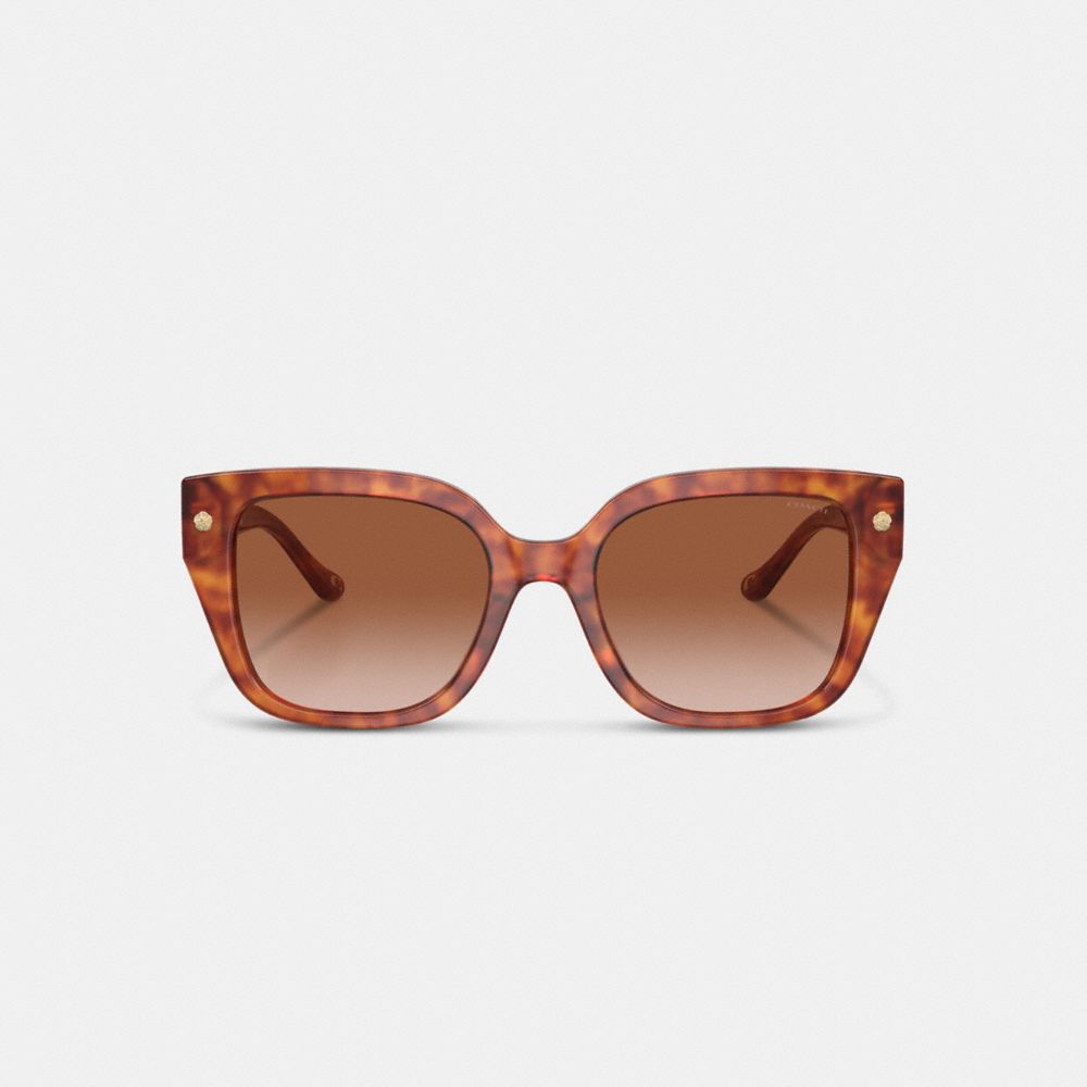 Charms Oversized Square Sunglasses