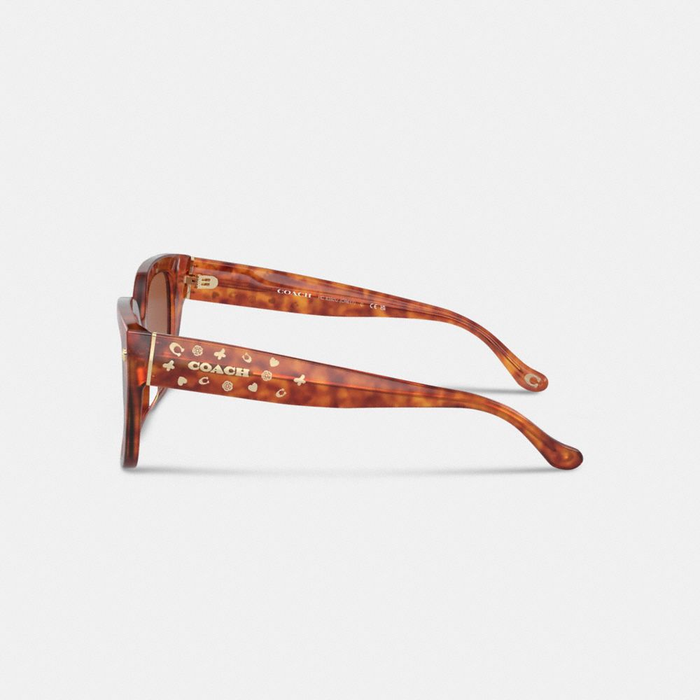 Charms Oversized Square Sunglasses