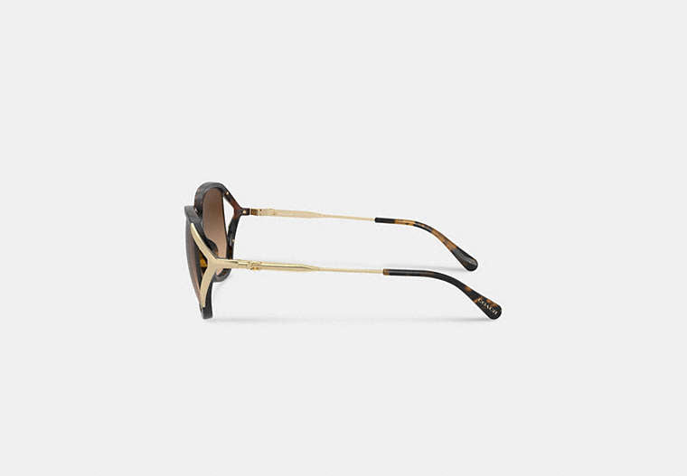 Bandit Oversized Square Sunglasses