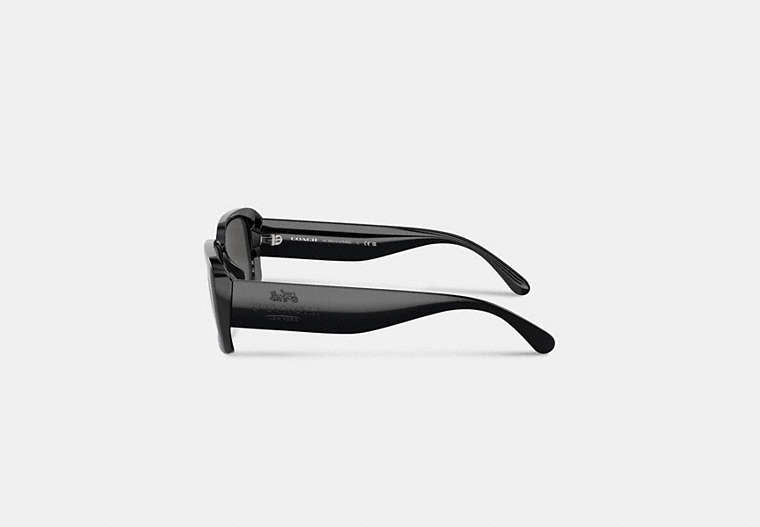 Narrow Rectangle Sunglasses