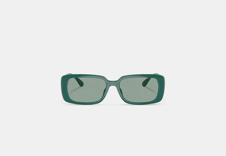 Narrow Rectangle Sunglasses