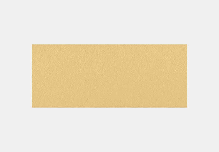 Essential Slim Card Case