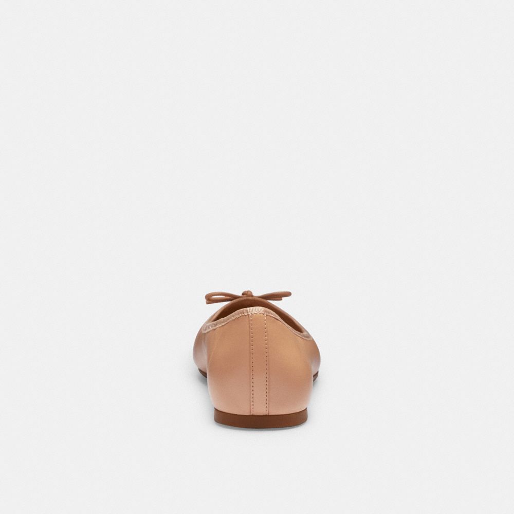 Abigail Flat