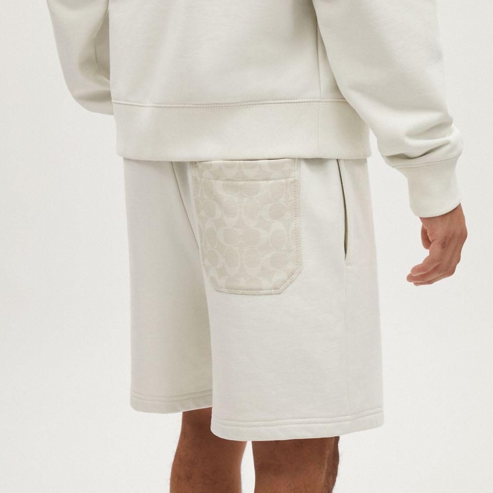 Tonal Signature Shorts