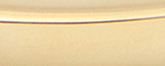 Essential Hinged Bangle