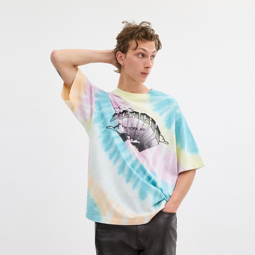 Tie Dye Crewneck T Shirt In Organic Cotton