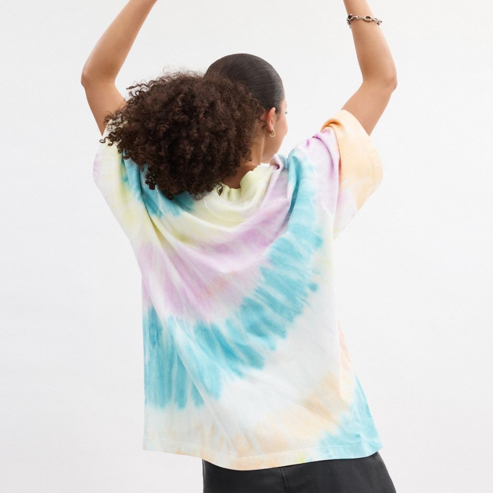 Tie Dye Crewneck T Shirt In Organic Cotton