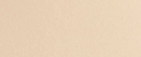 Restored Camila Bucket Bag