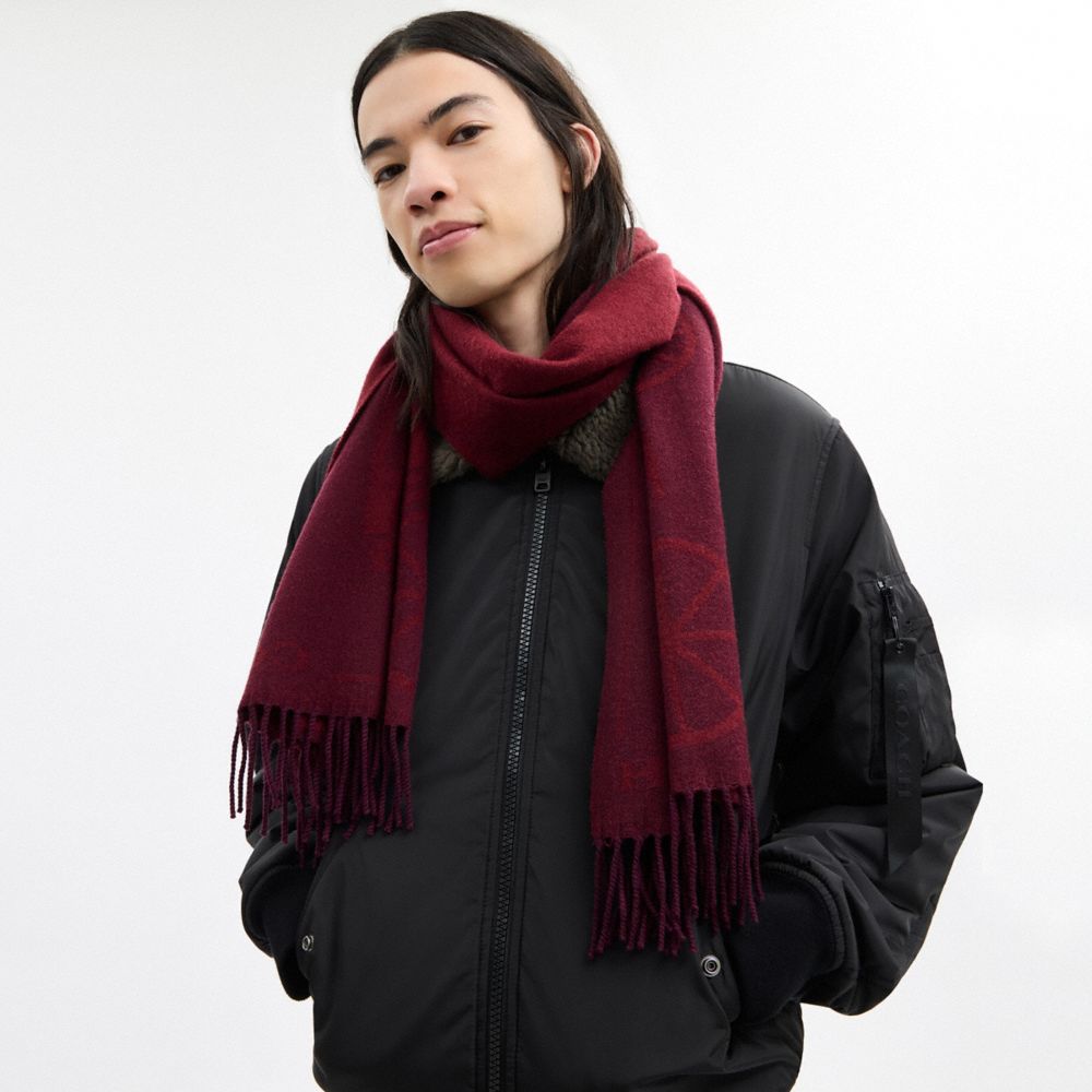Horse And Carriage Print Oversized Muffler