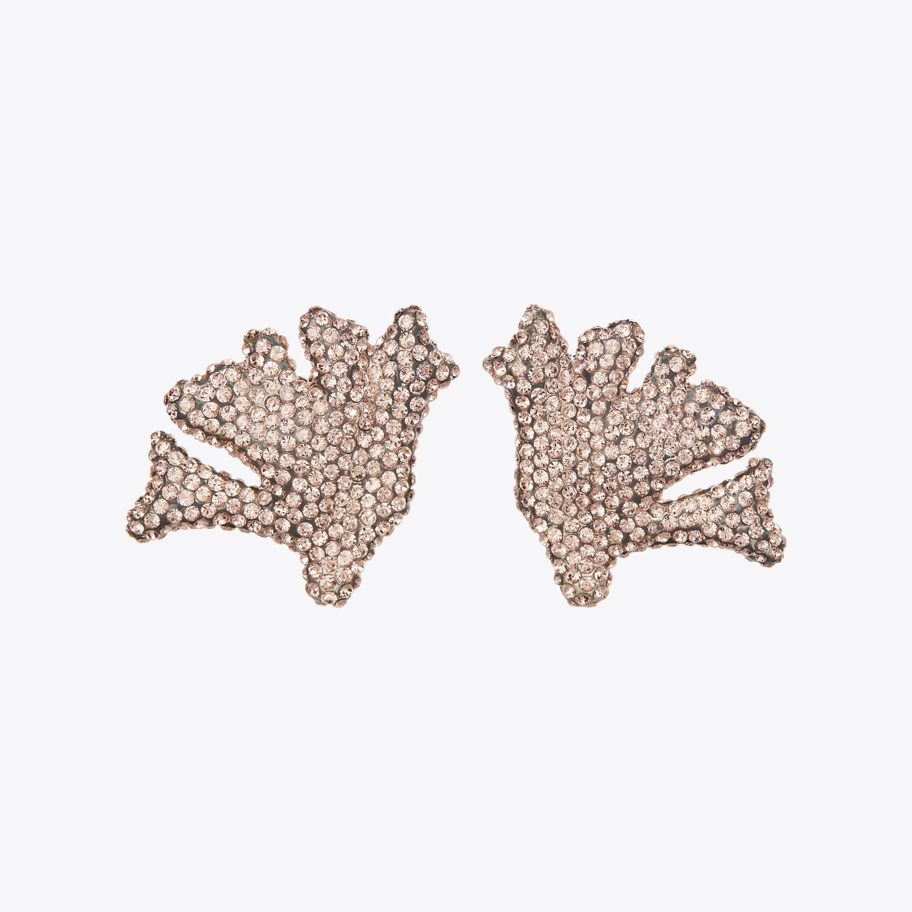 Curiosity Coral Earrings