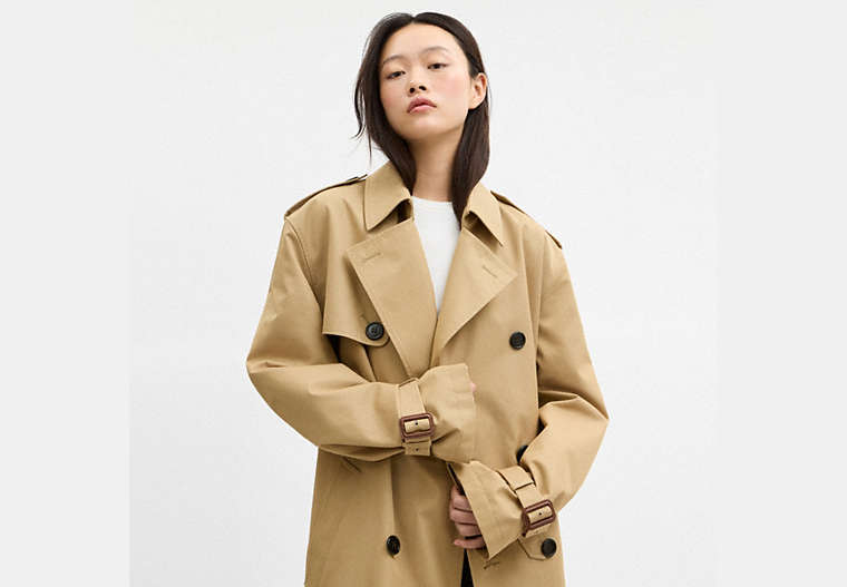 Trench Coat