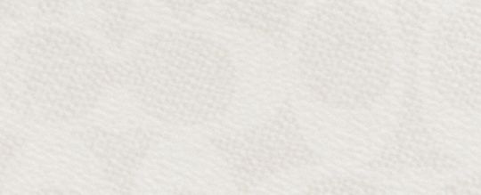 Mollie Tote Bag 25 In Signature Canvas