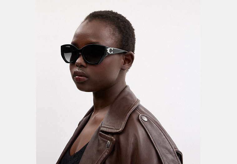Maxi Sculpted C Oval Sunglasses