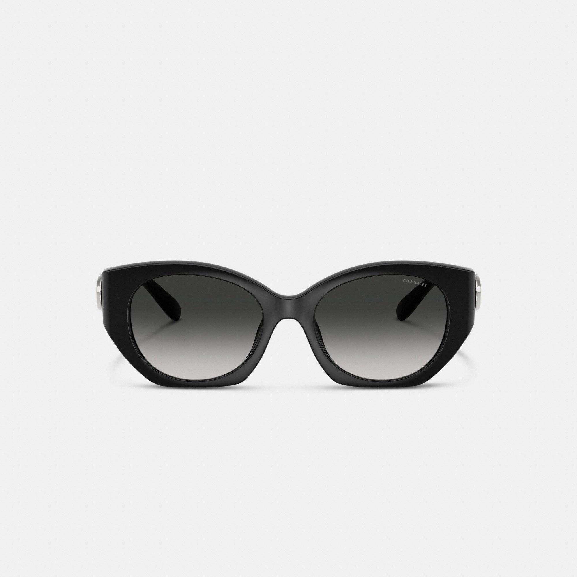 Maxi Sculpted C Oval Sunglasses