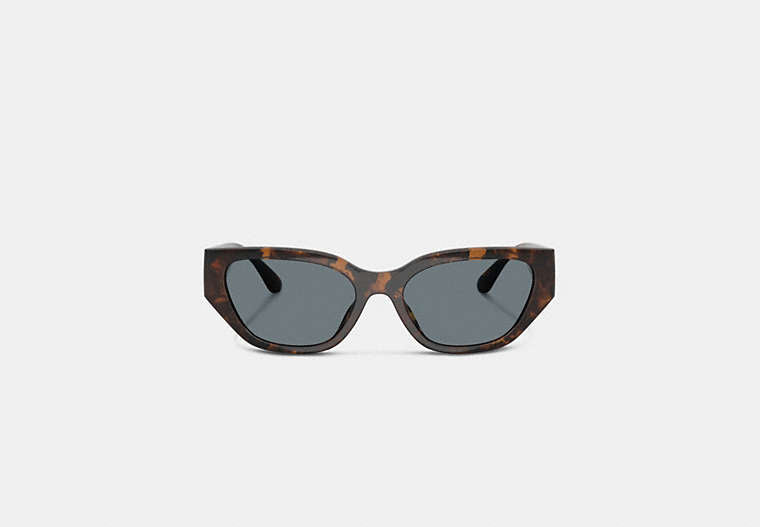 Geometric Cat Eye Sunglasses