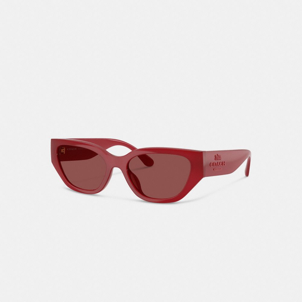 Geometric Cat Eye Sunglasses