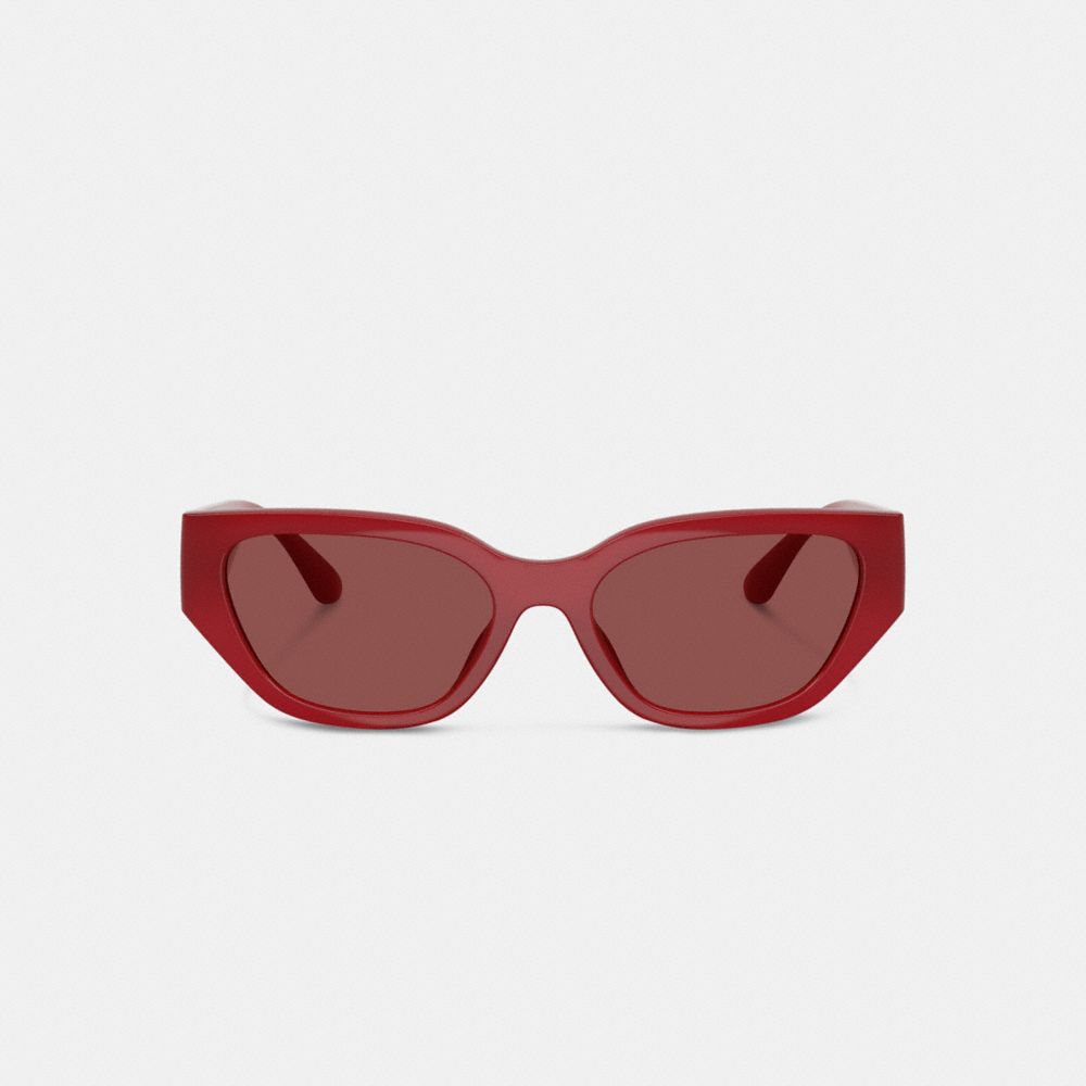 Geometric Cat Eye Sunglasses