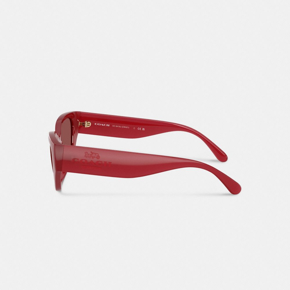 Geometric Cat Eye Sunglasses