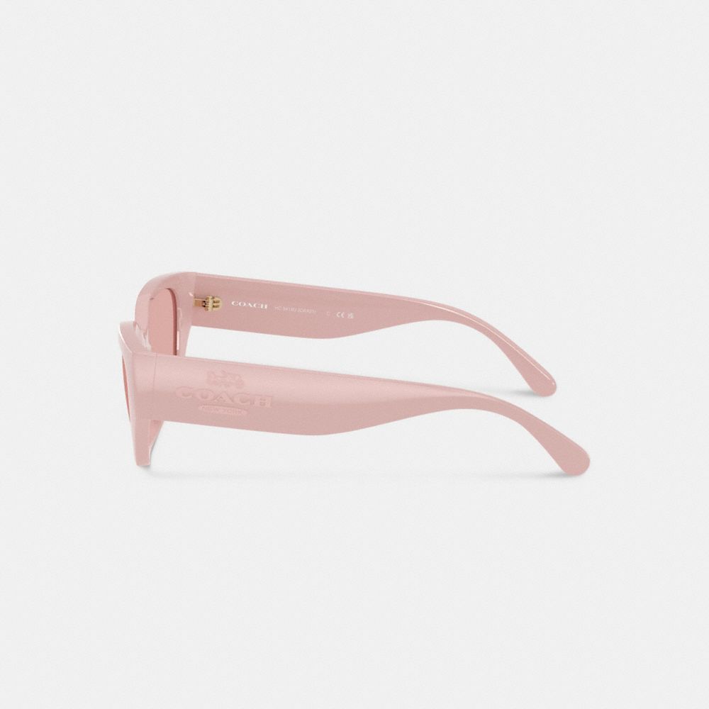 Geometric Cat Eye Sunglasses