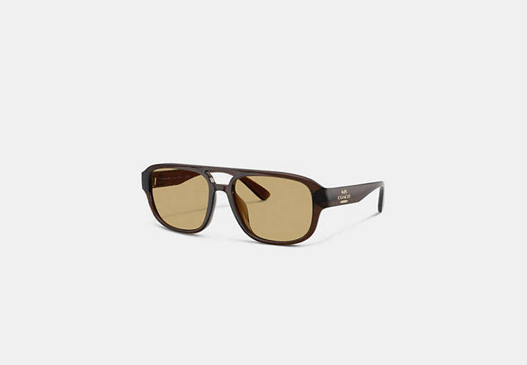 Pilot Sunglasses