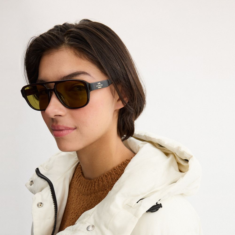 Pilot Sunglasses