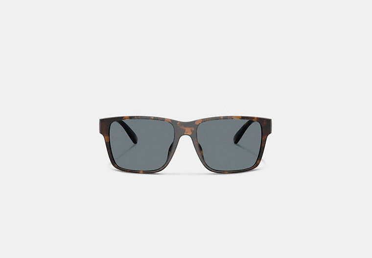 Square Sunglasses