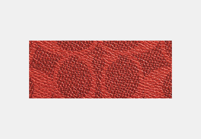Long Zip Around Wallet In Signature Canvas