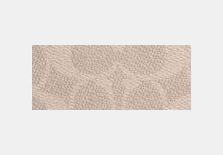 Medium Id Zip Wallet In Signature Canvas