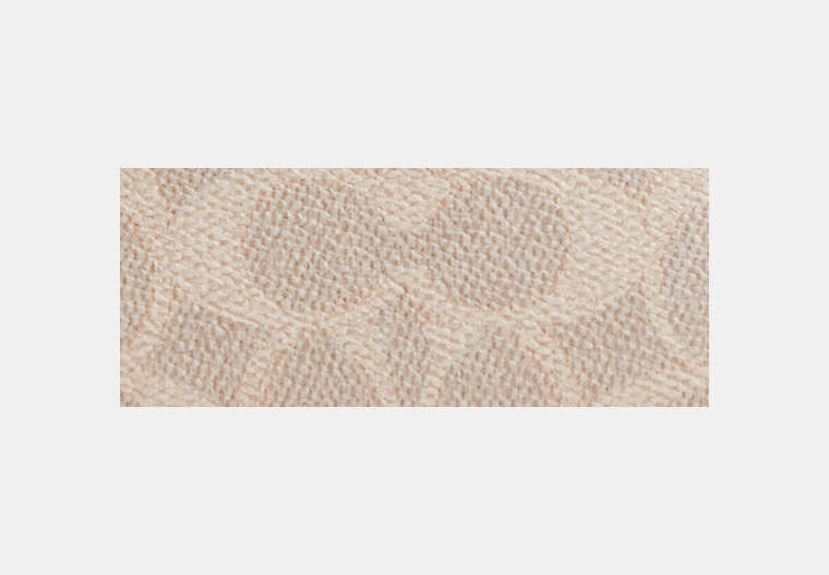 Snap Wallet In Signature Canvas