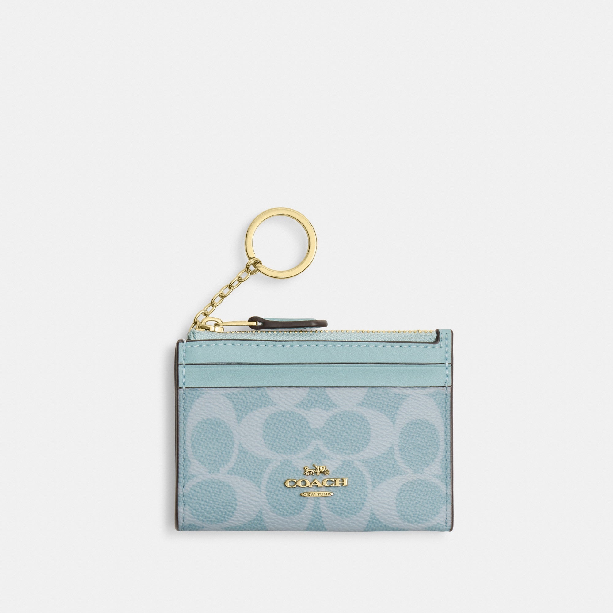 Mini Skinny Id Case In Signature Canvas