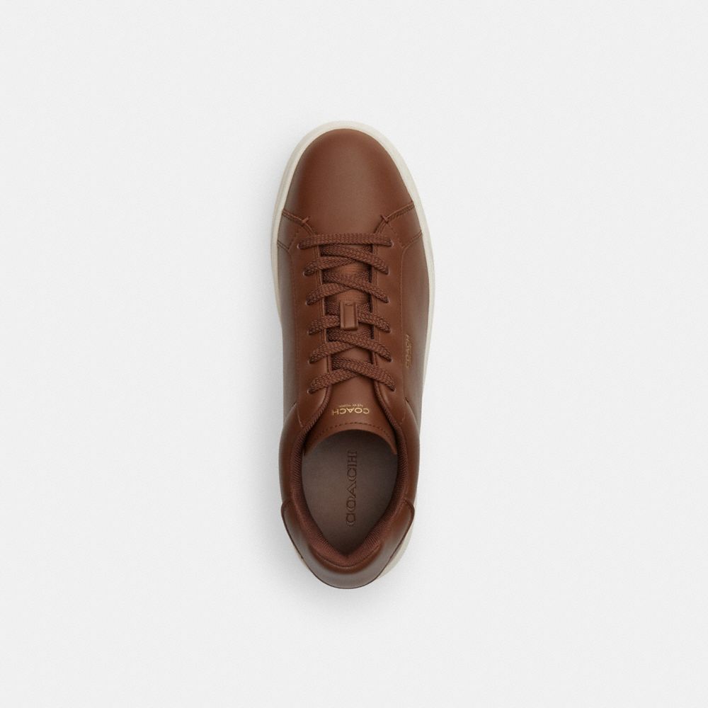 High Line Sneaker In Signature Canvas