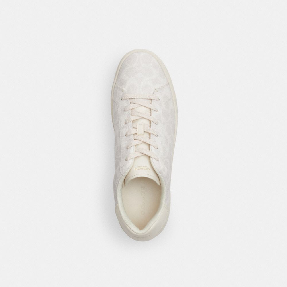 High Line Sneaker In Signature Canvas