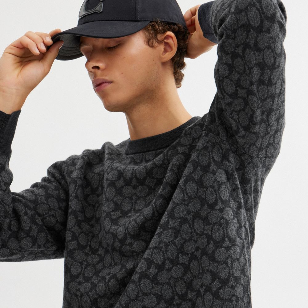 Signature Crewneck Sweater