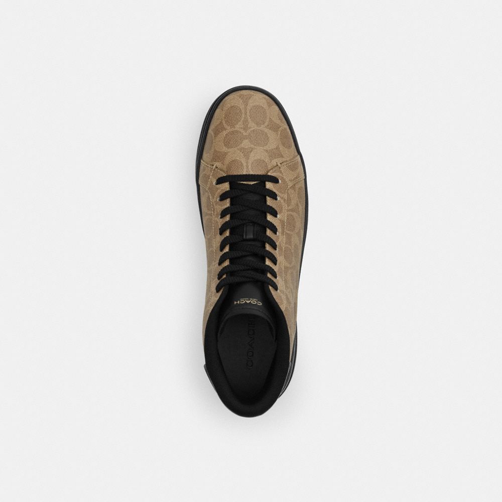 High Line High Top Sneaker In Signature Canvas