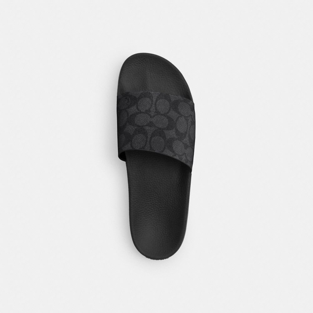 Slide In Signature Canvas