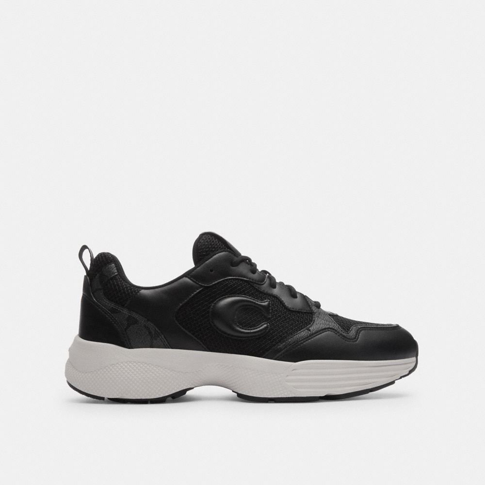 Strider Sneaker In Signature Canvas