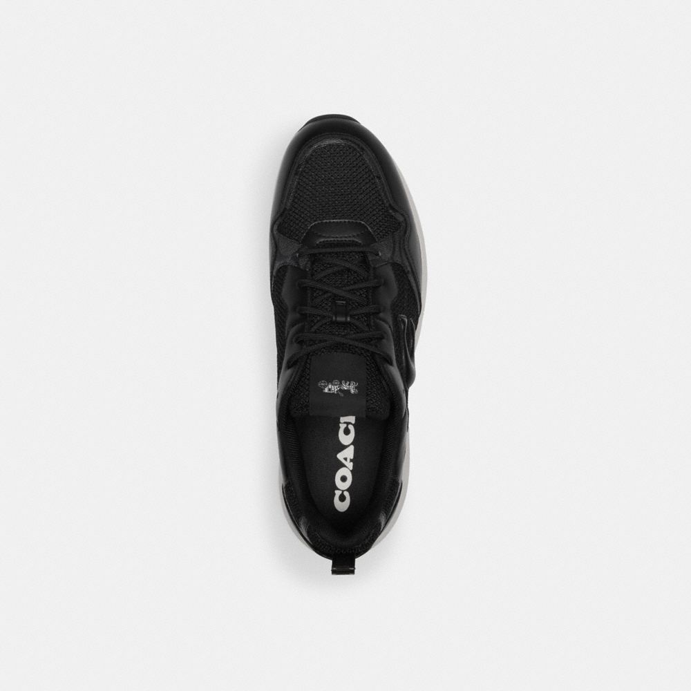 Strider Sneaker In Signature Canvas