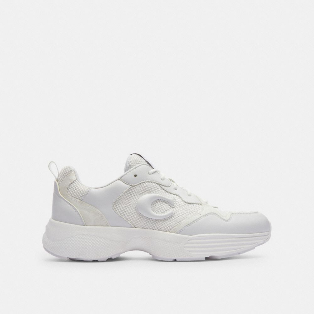 Strider Sneaker In Signature Canvas